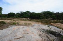 3 Day Budget Tent Kruger National Park Safari