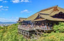 Kyoto Private Day Trip - Enjoy Your First-Time Visit to Kyoto!