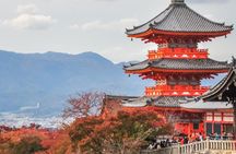 Kyoto Private Day Trip - Enjoy Your First-Time Visit to Kyoto!