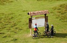 Zasavica Bike Tour