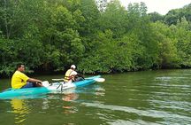 Krabi: Kayaking Tour at Ban Bor Thor Ancient Cave & Mangroves