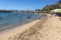 Caribbean Beach Delight 