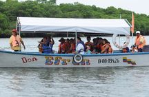 Dolphin Watching Experience in Puerto El Morro from Guayaquil