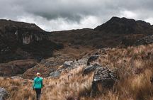 Private Cajas National Park Full Day Tour