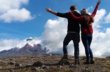 Private Tour to Cotopaxi National Park + Rose Plantation