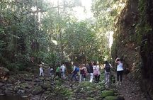 St Kitts Half-Day Rainforest Tour 