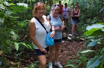 St Kitts Half-Day Rainforest Tour 