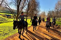 Half Day – Wine Tasting Horse Trail