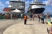 St Kitts Island Tour (Reconfirm Ship or Hotel)