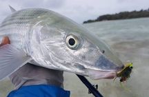 Fly Fishing Tour