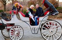 60 min surprise proposal carriage ride 