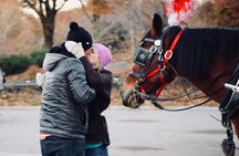 60 min surprise proposal carriage ride 