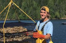 Hump Island Oyster & Kelp Farm with Tasting