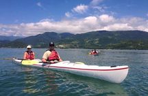 Mangrove and Beach Kayak Tour BY PARATY TOURS