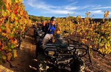 1h30m – Nature Quad Trail