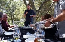 Paso Robles Wine Adventure within the Paso Robles Wine Region