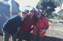 8 Days (7 Night) Lemosho Route