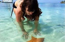 One Day Amazing SAN BLAS ISLAND tour + Round-Trip Transport