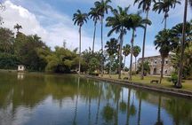 Barbados Amazing Full Day Private Rural Excursion