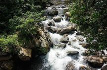 Hike for 4 days to the Lost City, Santa Marta