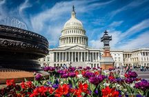 Private Washington, DC Tour for Small Groups (Up to 15 Guests)