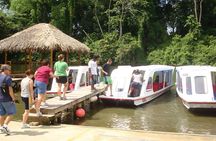 Nature History Tour. Tortuguero Canal & Cahuita National Park Shore Excursion