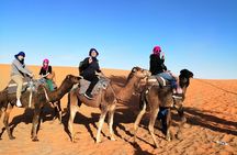3 Days From Marrakech Merzouga ends in Fez