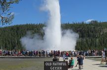 Yellowstone National Park - PRIVATE Full-Day Lower Loop Tour from Jackson Hole