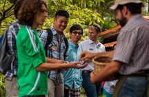 Traditional Coffee Tour + Poás Volcano from San José