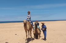 Full Day Excursion To Asilah&Tangier 