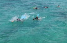 Catamaran Cruise: Isle aux Cerfs, Including BBQ Lunch, in Mauritius