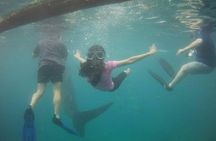 Cebu Oslob Whale Sharks and Sumilon Island Kawasan Falls Canyoneering