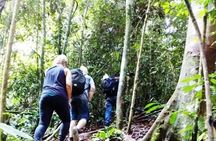 All-in 3N/4D Bukit Lawang Tour For School