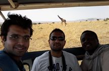 4 Days Budget Safari to Maasai Mara only from Nairobi