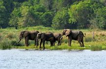  3 Days Murchison Falls Wildlife Safari