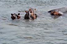  3 Days Murchison Falls Wildlife Safari