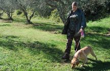 TRUFFLES: Hunting & Tasting in Istria, Slovenia