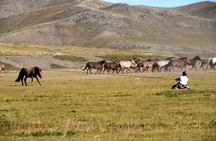 Terelj National Park and Chinggis Khaan Statue Tour