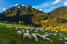 Zakopane and Tatra Mountains and Thermal Baths Private Tour