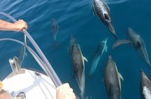 2 h Estepona Bay Tour