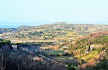 Footpath Above Lucija To Lucan