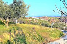 Footpath Above Lucija To Lucan