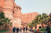 Taj Mahal Sunrise & Agra Fort Private Tour from Delhi
