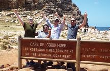 Cape Town: Half-day Cape Peninsula & Half-Day Constantia Winelands PRIVATE Tour
