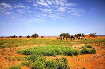 3-Day Private Morocco Desert Tour from Agadir to Erg Chigaga Dunes