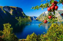 Private tour, Bergen to Oslo - Nærøyfjord Cruise & Flåm Railway