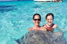 Stingray City Experience Plus One Snorkeling Stop