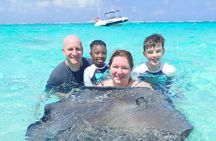 Stingray City and Snorkel Tour With Lunch