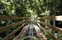 Jamaica Bobsled Adventure Tour (Mystic Silver) from Runaway Bay