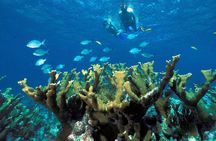 ATV Adventure Combo with Snorkeling, Ziplines, Cenote, and Lunch